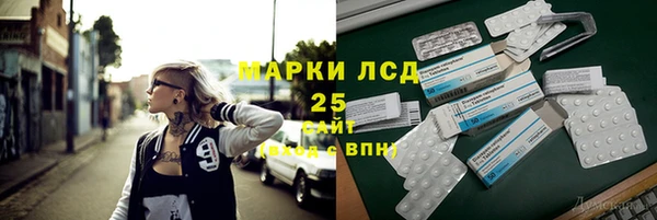 гашик Бородино