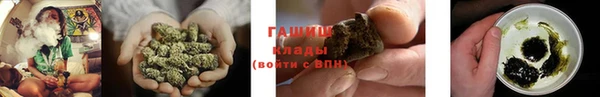 гашик Бородино