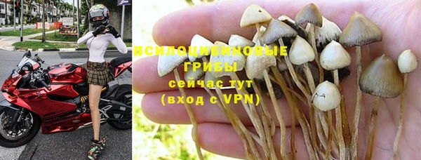гашик Бородино