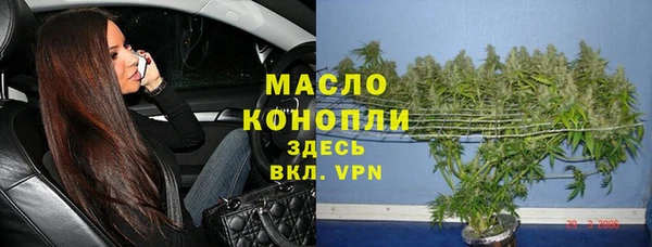 гашик Бородино