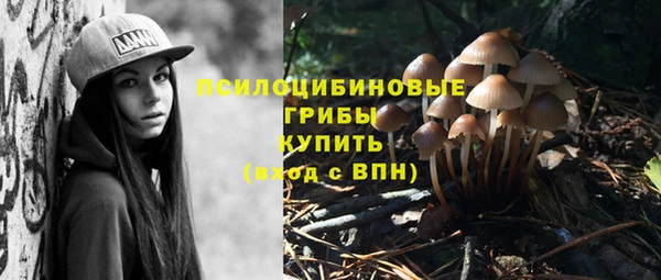 гашик Бородино
